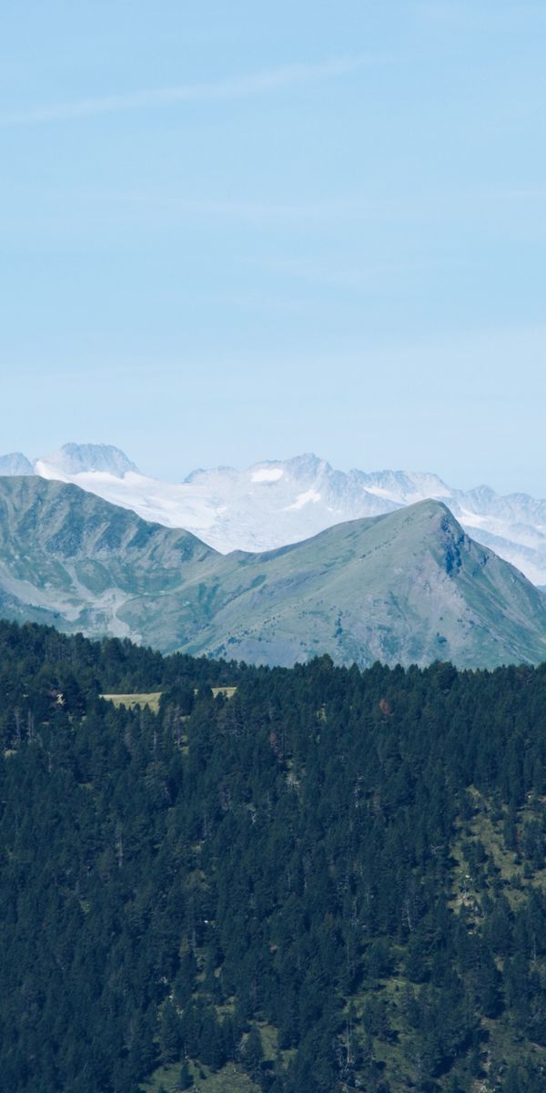 Phone wallpaper: Dahl, Distance, Mountain Range, Trees, Mountains, Nature free download