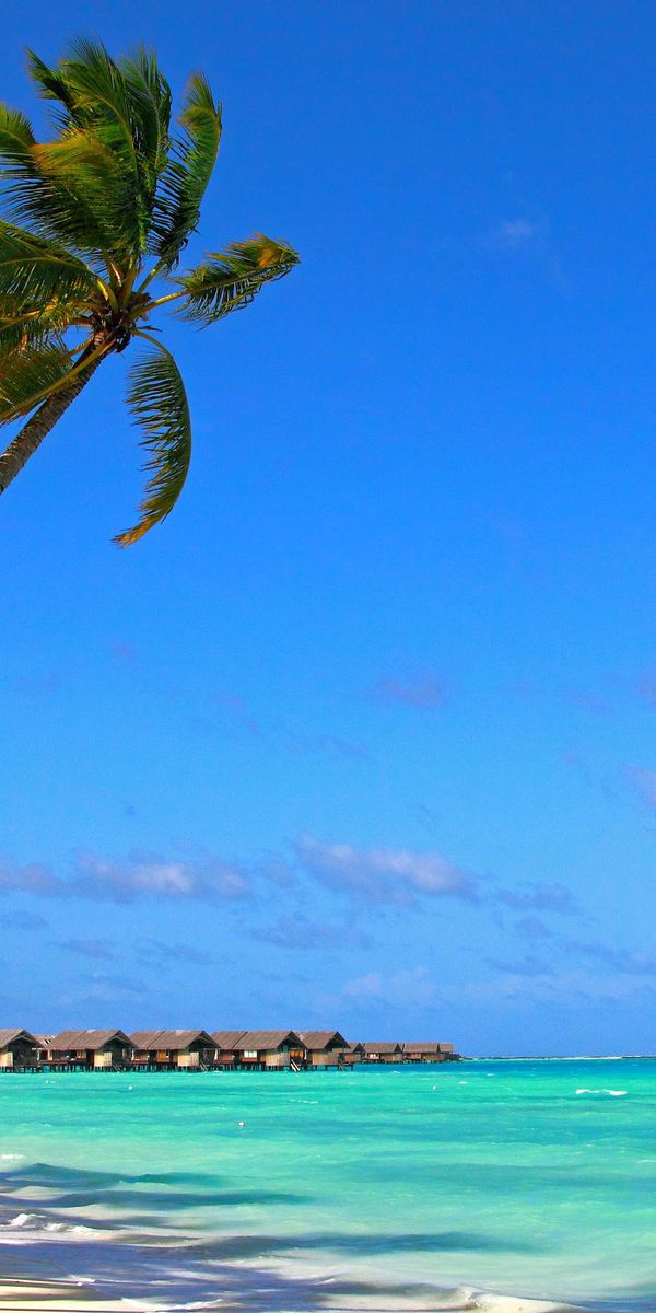 Phone wallpaper: Nature, Summer, Tropics, Beach, Maldives free download