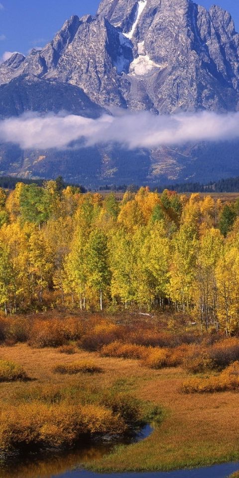Phone wallpaper: Landscape, Earth, Grand Teton National Park free download
