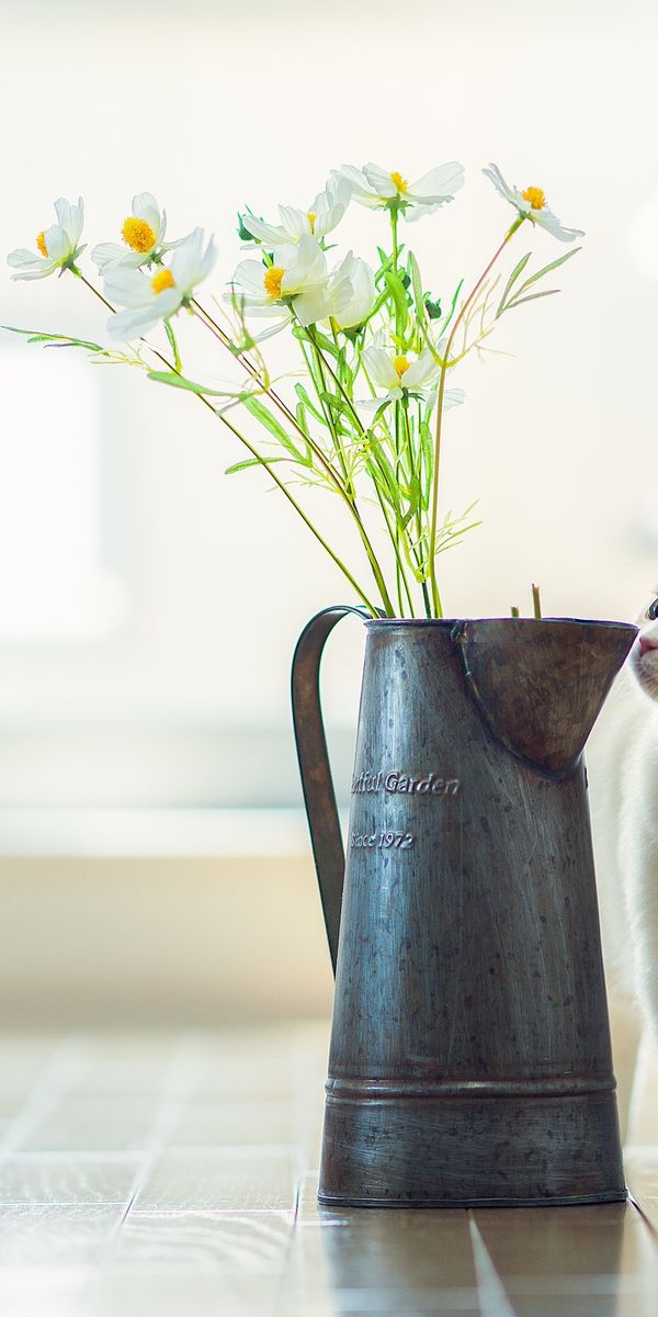 Phone wallpaper: Parquet, Kitty, Kitten, Animals, Vase, Flowers free download