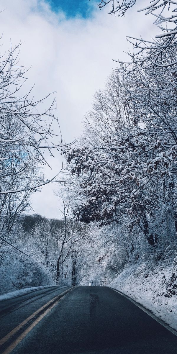 Scenic Winter Road with Snow-Covered Trees