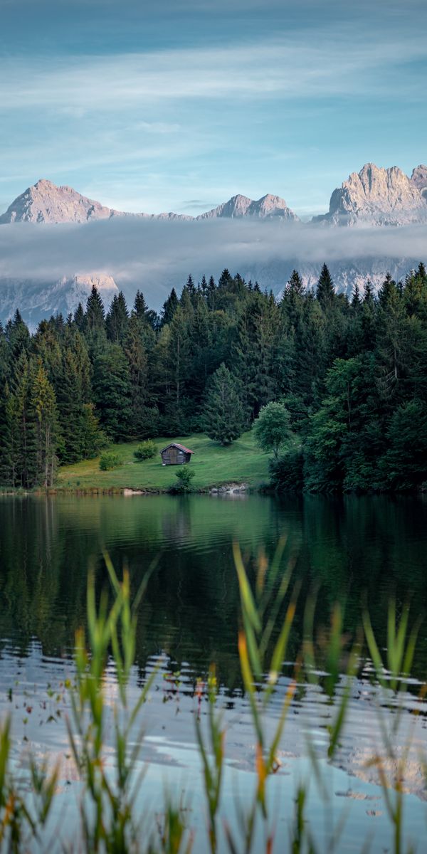 Breathtaking 4K wallpaper featuring mountains, forest, and a tranquil lake
