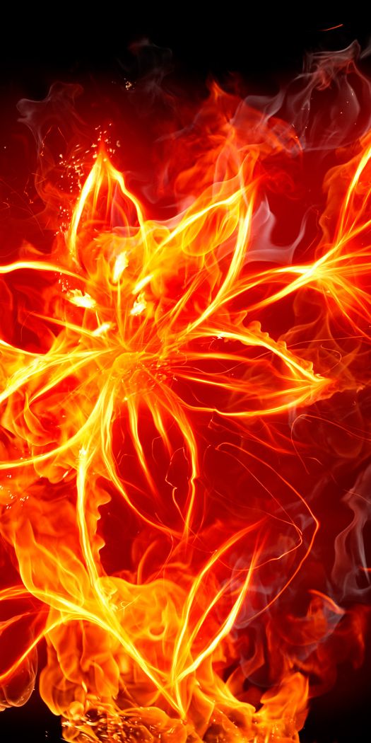 Fiery Flower in Artistic CGI Style