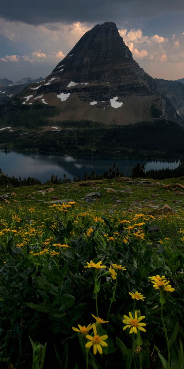 Phone wallpaper: Landscape, Nature, Sunset, Lakes, Mountain, Peak, Lake, Flower, Earth, Yellow Flowe