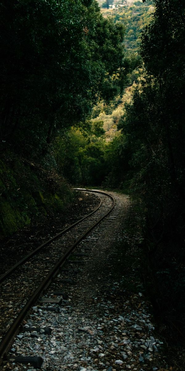 Mystical Forest Railway Path Surrounded by Nature