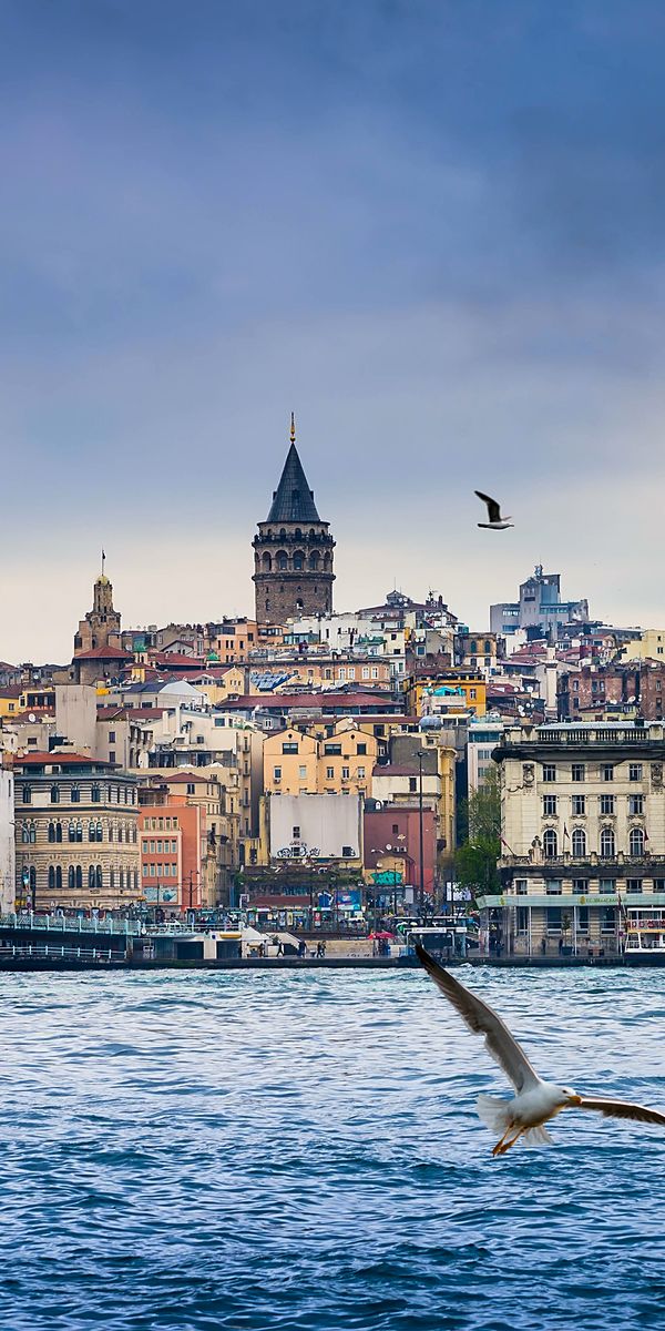 Breathtaking Istanbul skyline with seagulls, ideal 4K iPhone wallpaper