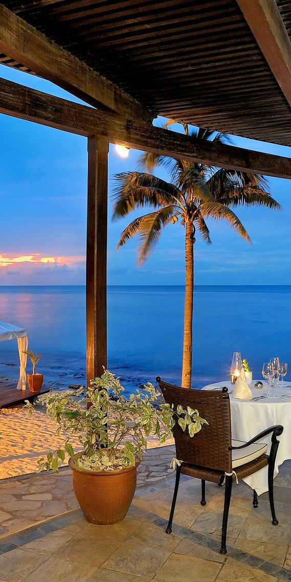 Tropical Evening Beach with Palms and Calm Sea