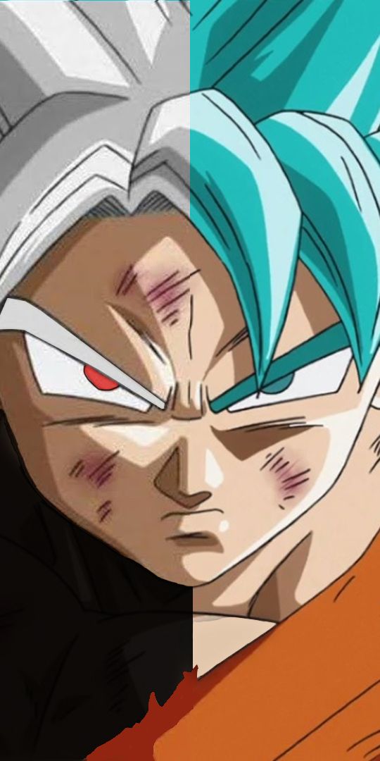 Black Goku vs. SSGSS Goku - Epic Dragon Ball Super Wallpaper