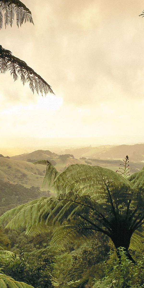 Phone wallpaper: Earth, Landscape free download