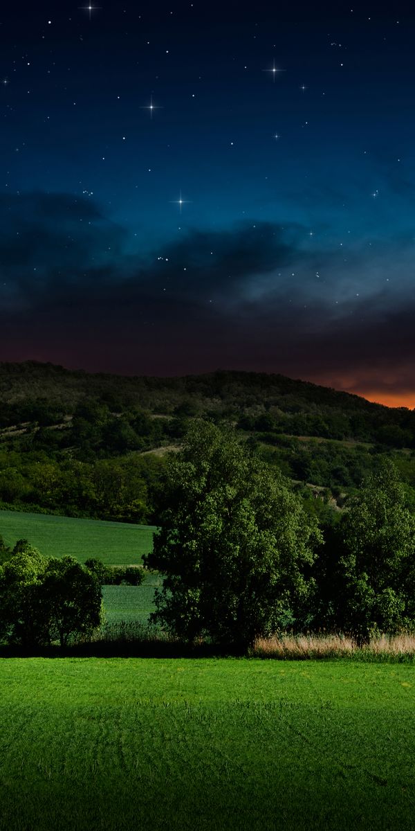 Breathtaking Night View with Full Moon and Starry Sky