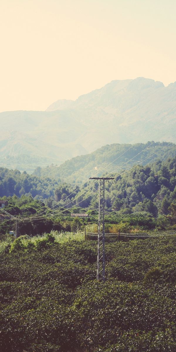 Phone wallpaper: Trees, Wire, Mountains, Nature, Wires free download