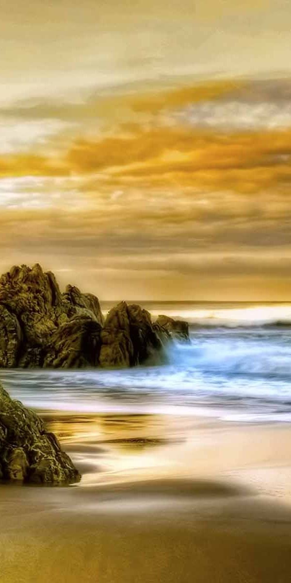 Phone wallpaper: Sunset, Sky, Sea, Beach, Ocean, Earth, Seagull, Cloud free download