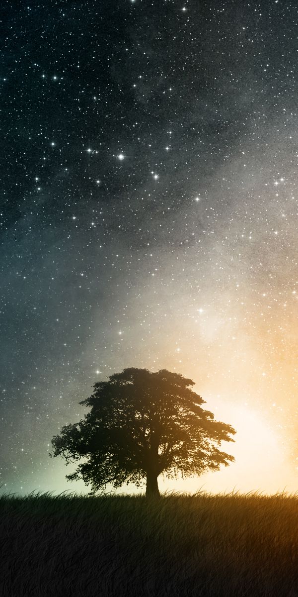 Beautiful Tree in a Dreamy World Under a Starry Sky