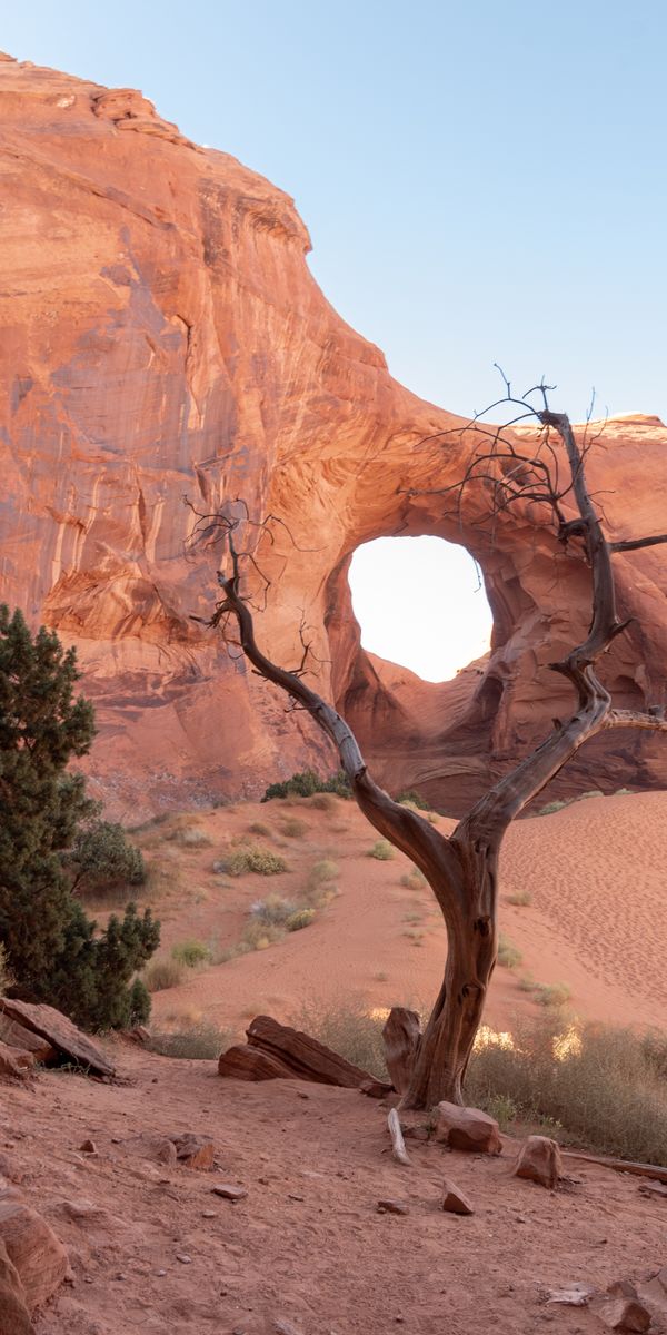 Phone wallpaper: Trees, Rock, Stones, Nature, Sand, Desert free download