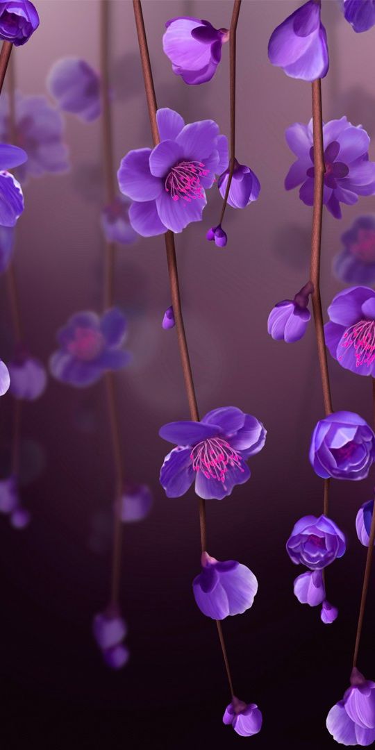 Purple Blossom Wallpaper Featuring Delicate Flowers