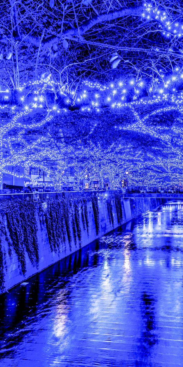 Mesmerizing Tokyo Nightscape: Blue Lights and Reflections - HD Phone Wallpaper