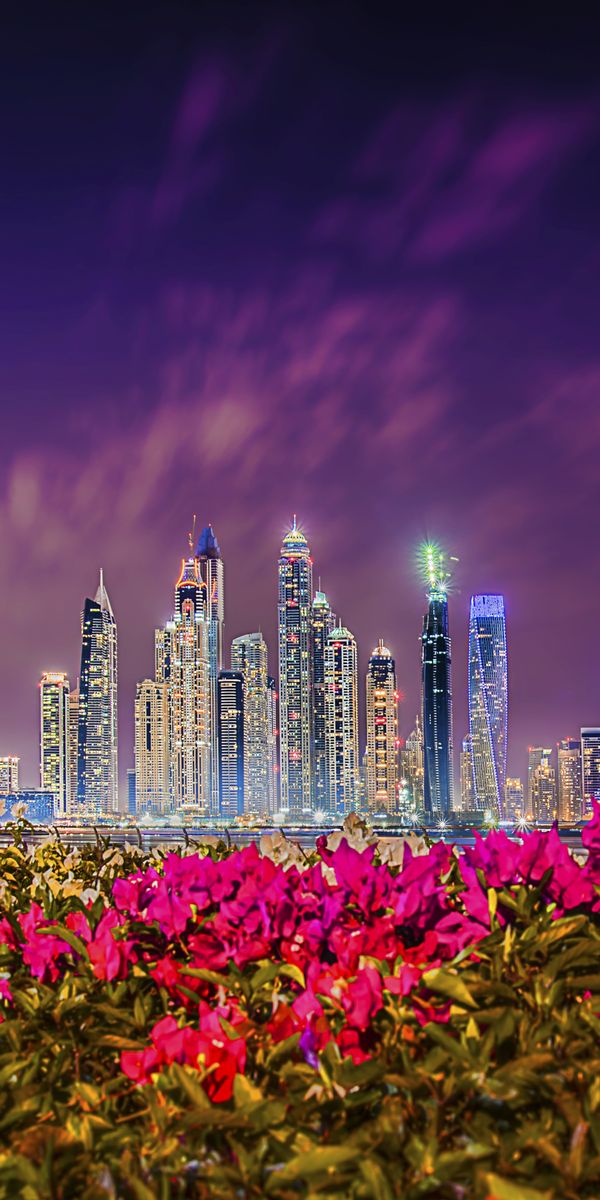 Phone wallpaper: Cities, Night, City, Skyscraper, Building, Flower, Dubai, United Arab Emirates, Man