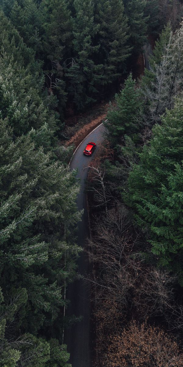 Aerial View of a Red Car on a Winding Road in a Dense Forest