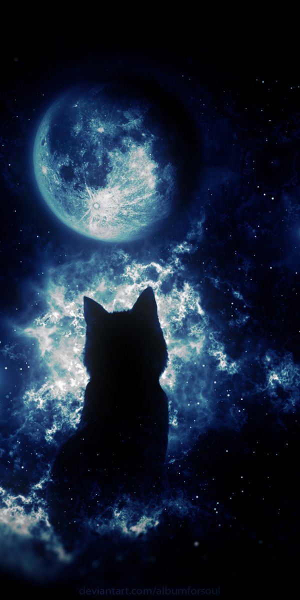 Enchanting Cat Silhouette Under a Starry Sky - 4K iPhone Wallpaper