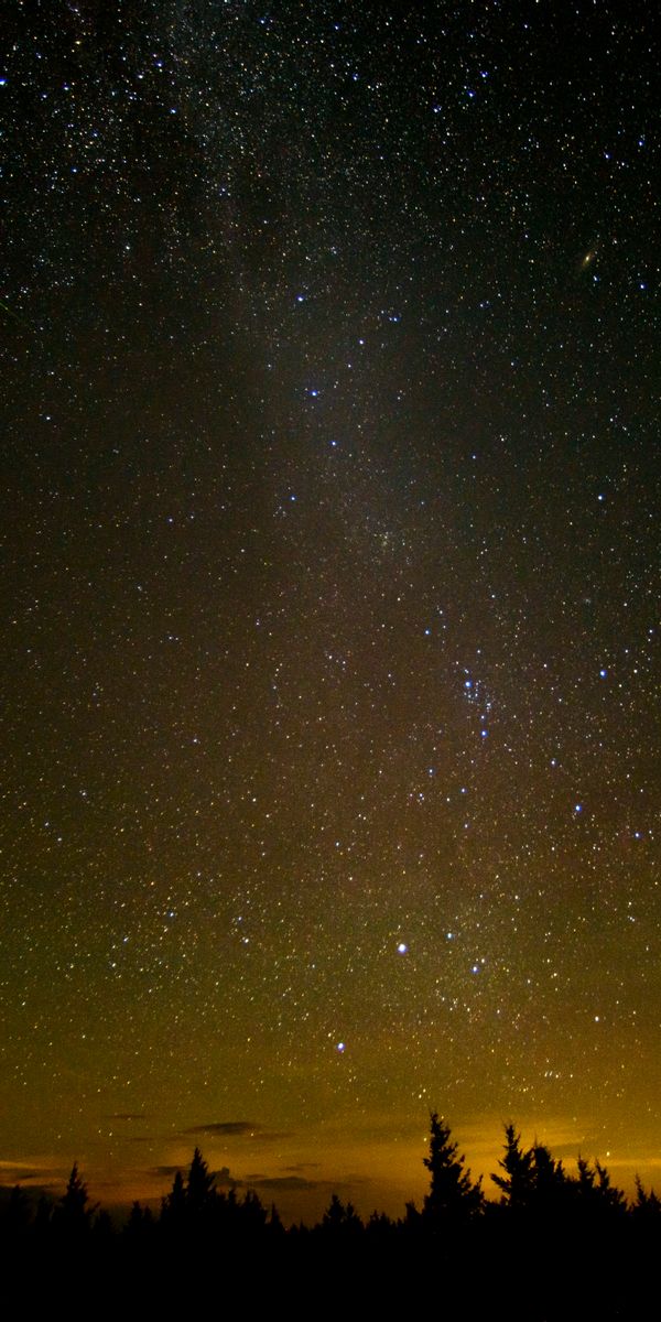 Phone wallpaper: Sky, Stars, Night, Earth, Meteor free download