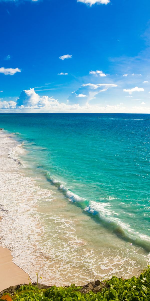 Breathtaking Tropical Beach Scene - Perfect Mobile Wallpaper