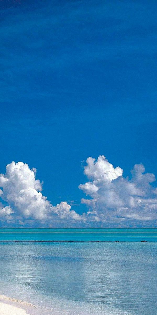 Tropical Beach with Turquoise Ocean and Palm Trees