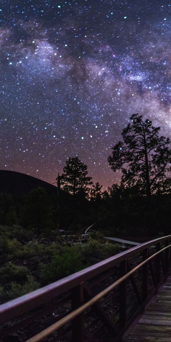 Phone wallpaper: Trees, Sky, Stars, Nature, Night, Silhouettes, Milky Way free download
