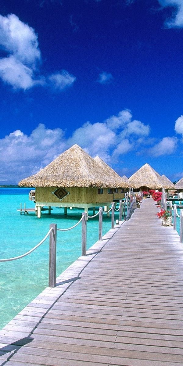Tropical Paradise: Blue Sea and Scenic Bridges