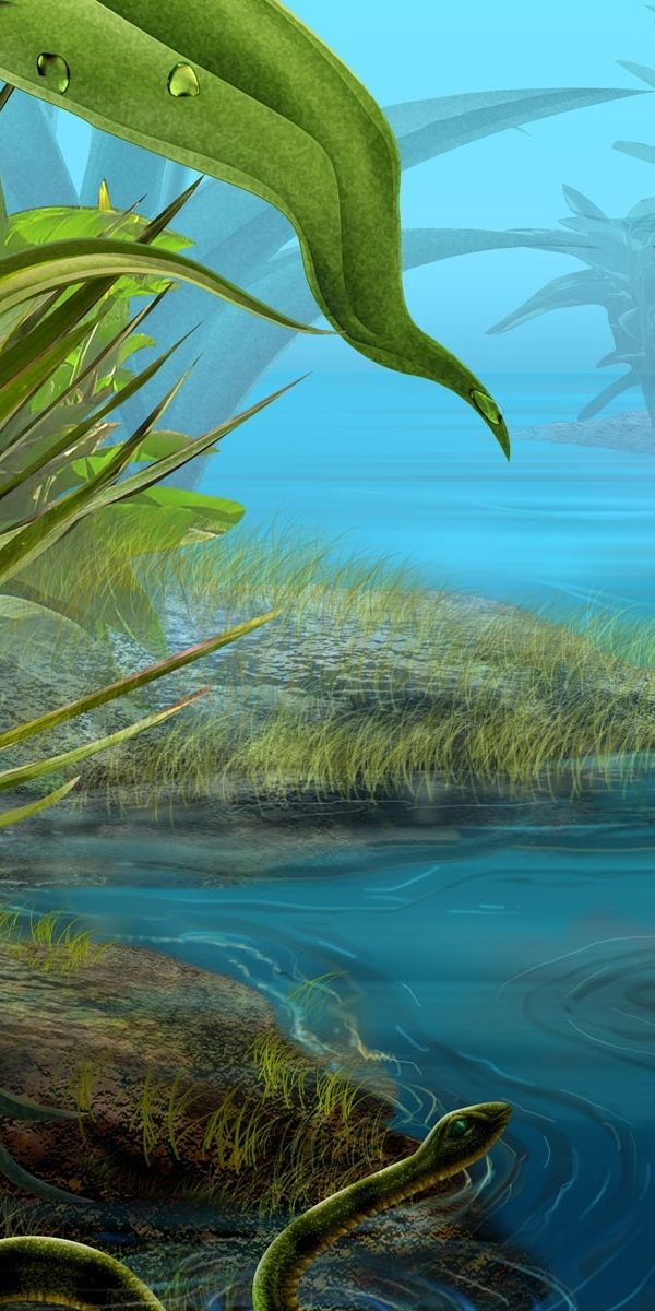 Phone wallpaper: Insects, Water, Plants, Landscape, Art free download