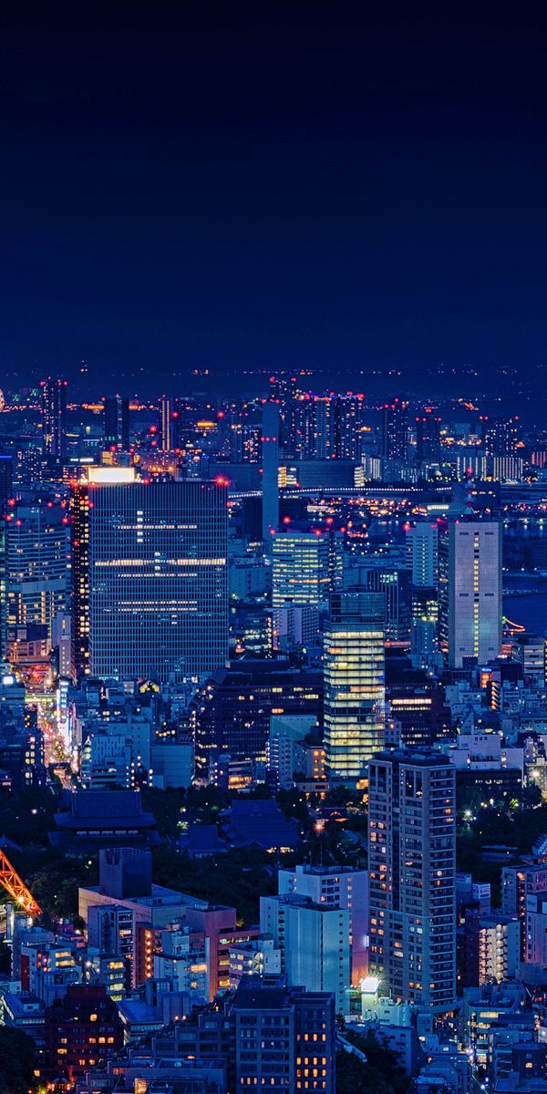 Breathtaking Night View of Tokyo Tower in Japan