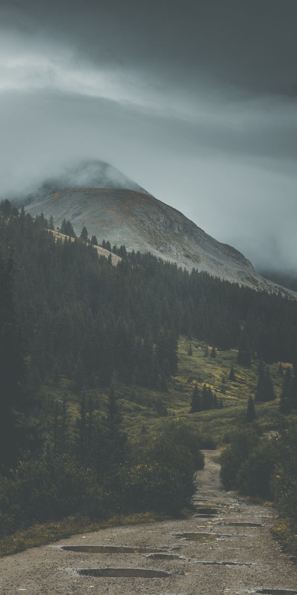 Phone wallpaper: Slope, Fog, Trees, Nature, Mountains free download