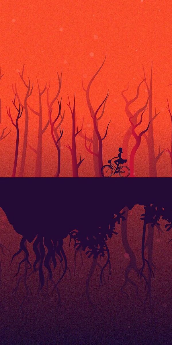 Enchanting 4K Phone Wallpaper: Bicycle in a Reflective Forest at Sunset