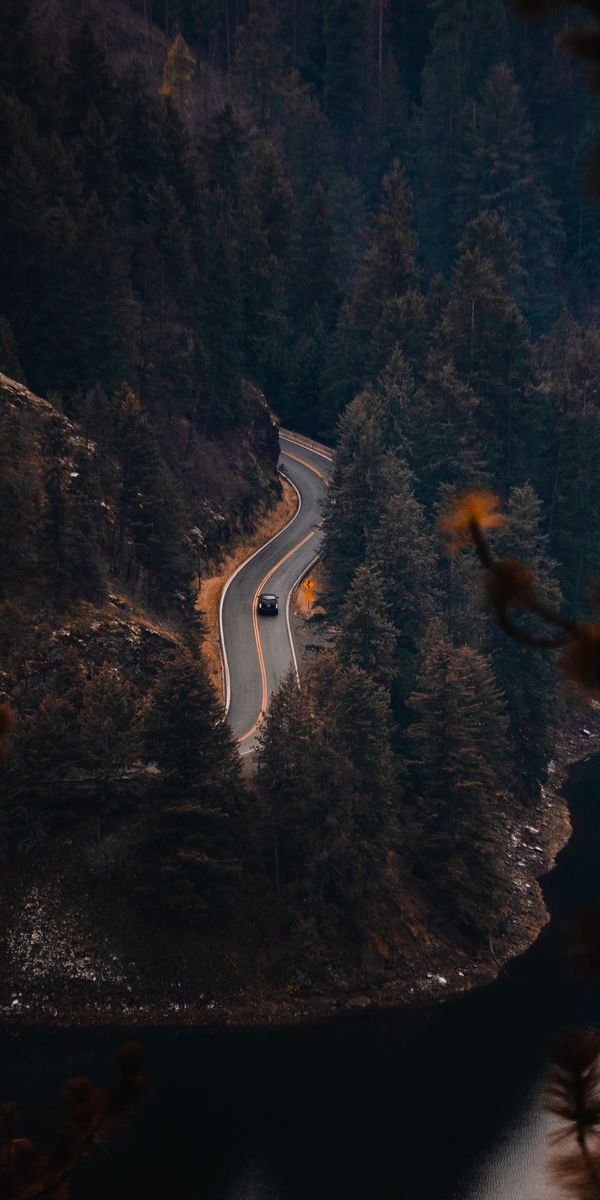Phone wallpaper: Trees, Road, Nature, Rivers, View From Above free download