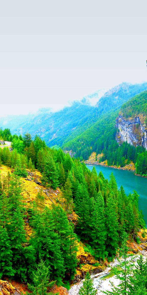Explore a Vibrant Earth Landscape iPhone Wallpaper Featuring Lush Greenery