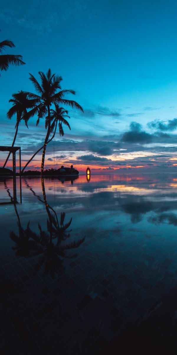 Breathtaking Tropical Sunset Over Ocean with Silhouette of Palms