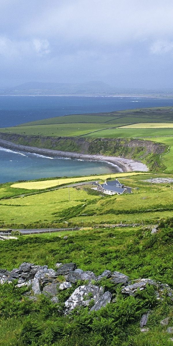 Breathtaking Coastal Landscape with Lush Fields and Serene Sea