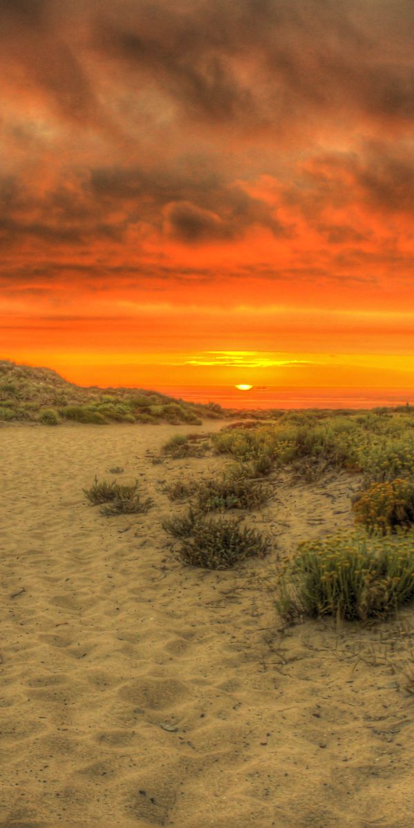 Phone wallpaper: Nature, Sunset, Beach, Sand, Horizon, Earth, Cloud free download