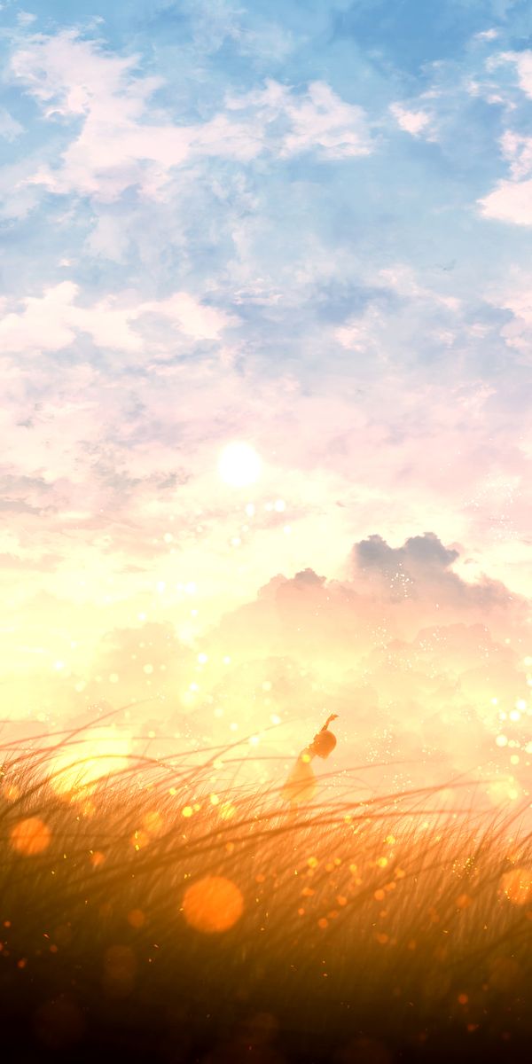 Phone wallpaper: Anime, Sunset, Sky, Field, Cloud free download