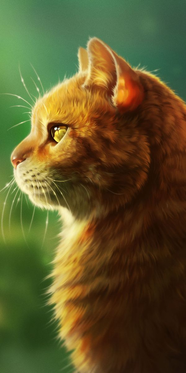 Ultra HD Profile of a Fluffy Cat - Perfect Mobile Wallpaper