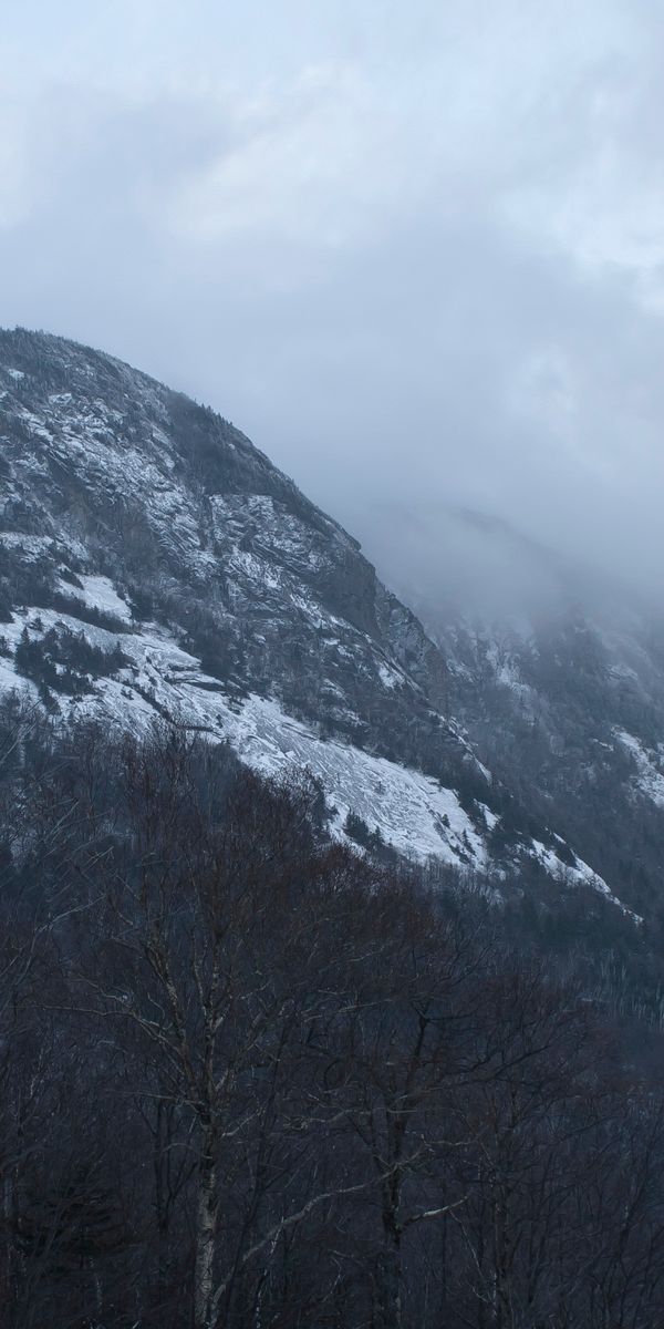 Phone wallpaper: Mountains, Fog, Forest, Mountain, Earth free download