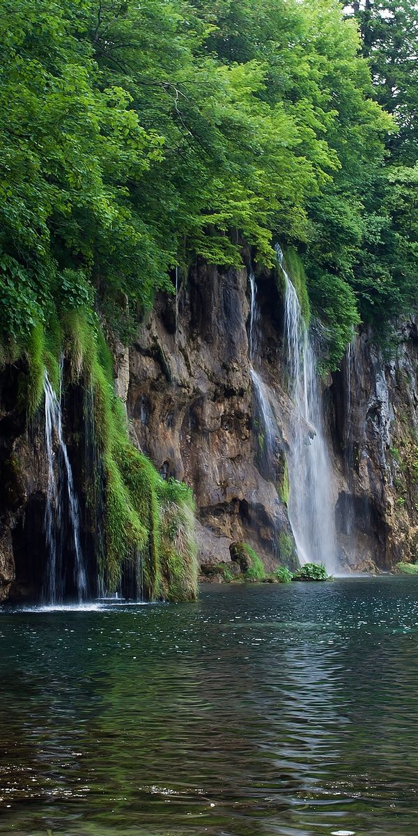 Serene Waterfall Surrounded by Lush Greenery
