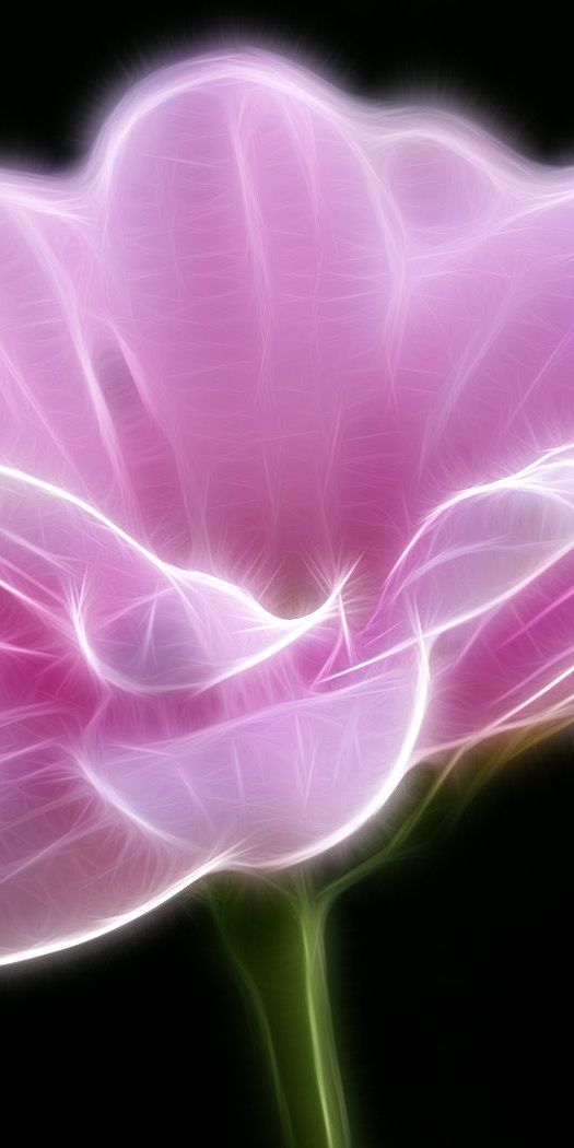 Artistic 4K Wallpaper Featuring a Delicate Pink Flower on a Dark Background