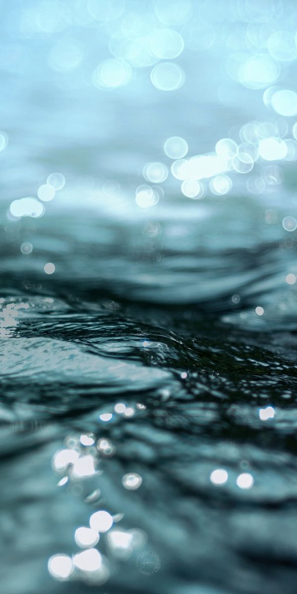 Captivating 4K Wallpaper of Water with Bokeh and Macro Details