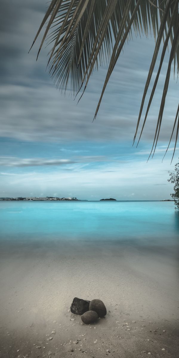 Serene Beach View with Stones and Palm Branches