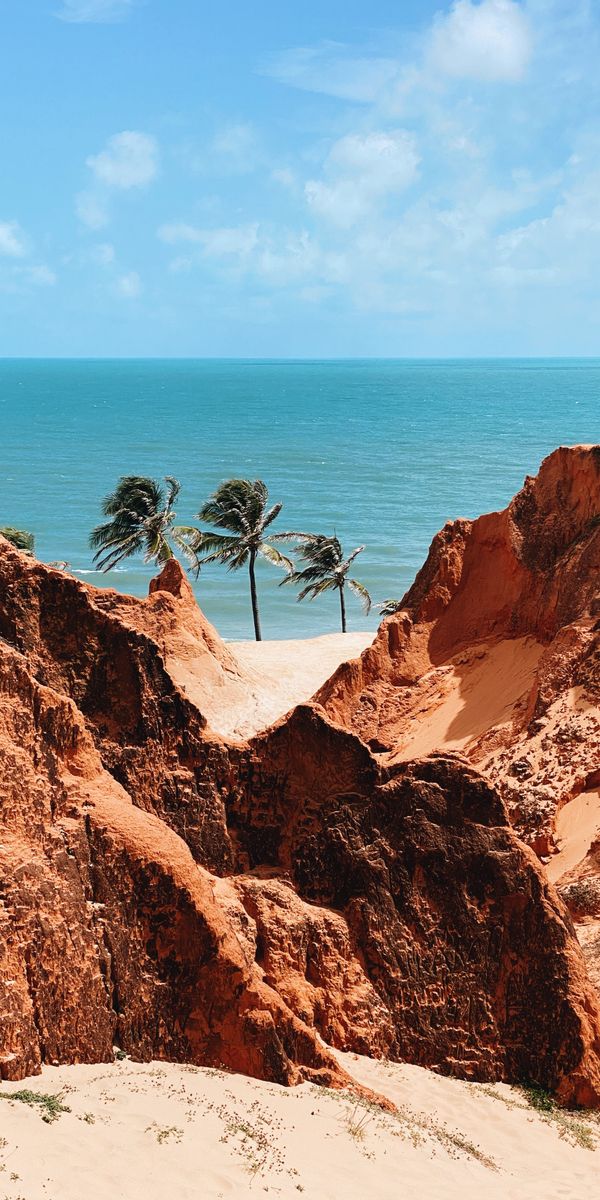 Breathtaking Summer Beach Landscape with Palms and Rocks