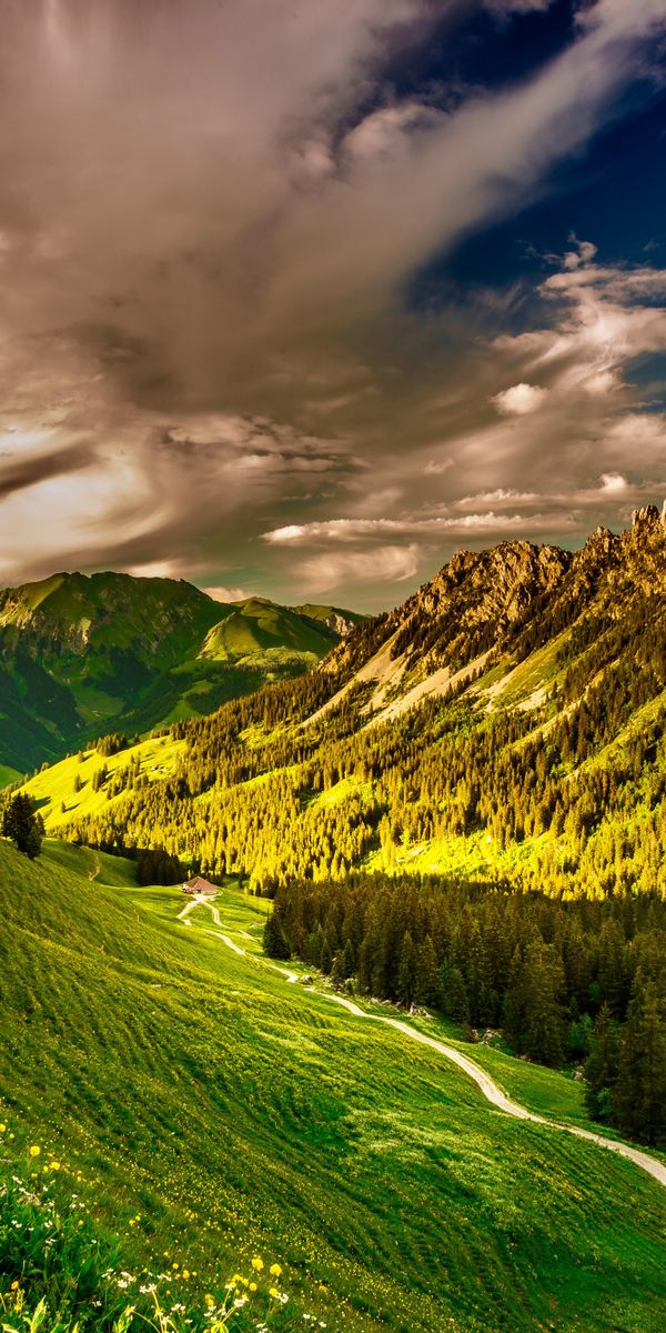 Explore a serene valley landscape wallpaper featuring mountains and greenery