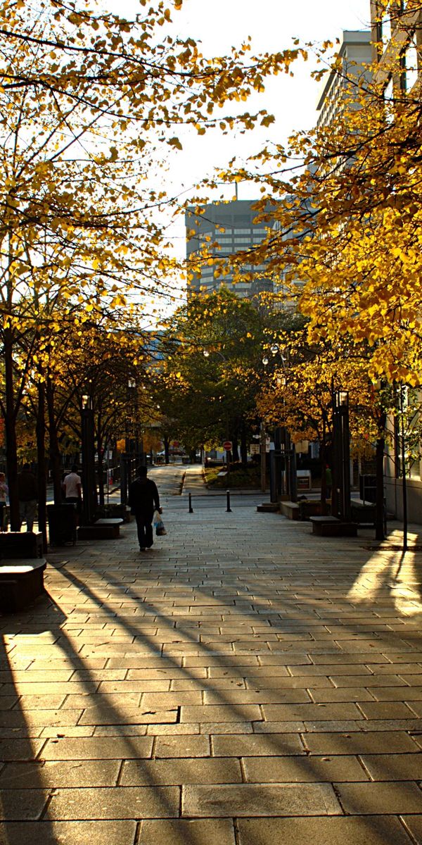 Autumn in Toronto: A Beautiful Cityscape for Your Mobile Wallpaper